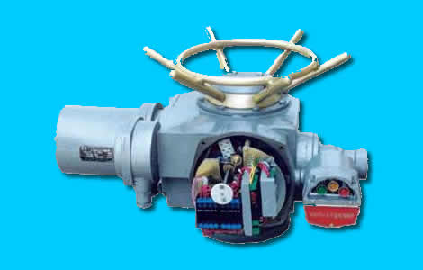 DZW型多回轉閥門電動裝置